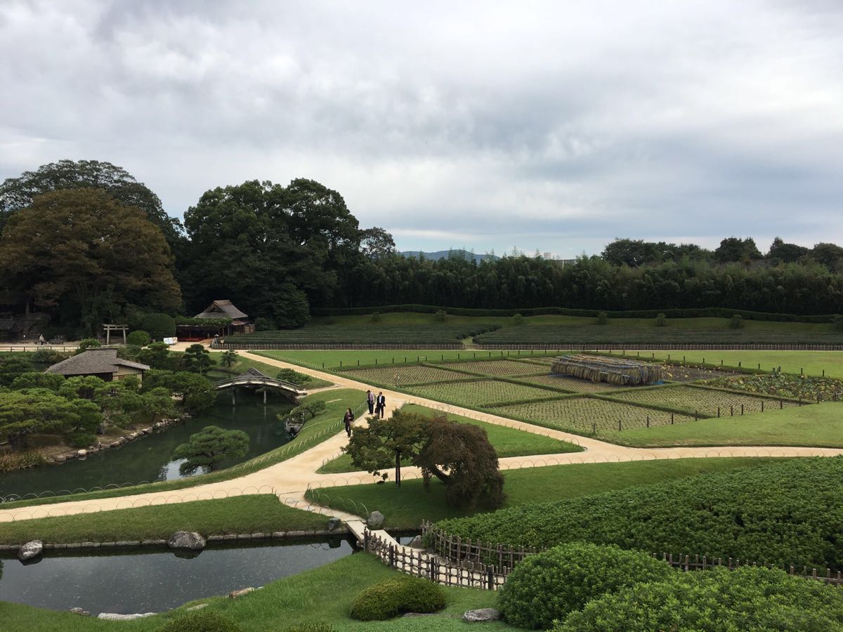 洛阳市冈山市图片