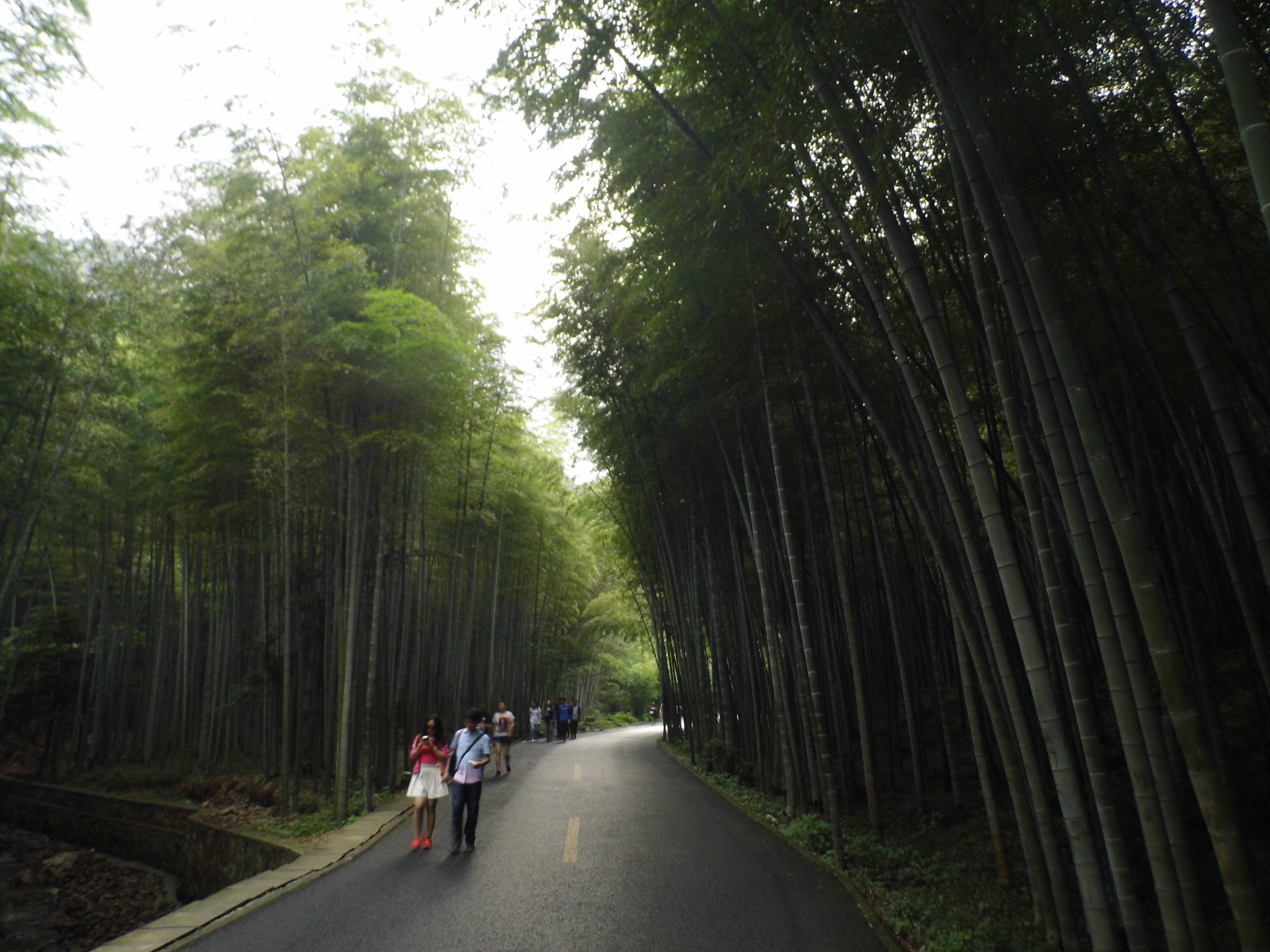 【攜程攻略】宜興宜興竹海適合朋友出遊旅遊嗎,宜興竹海朋友出遊景點