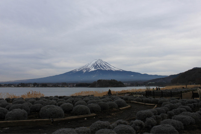 富士山五湖周边游
