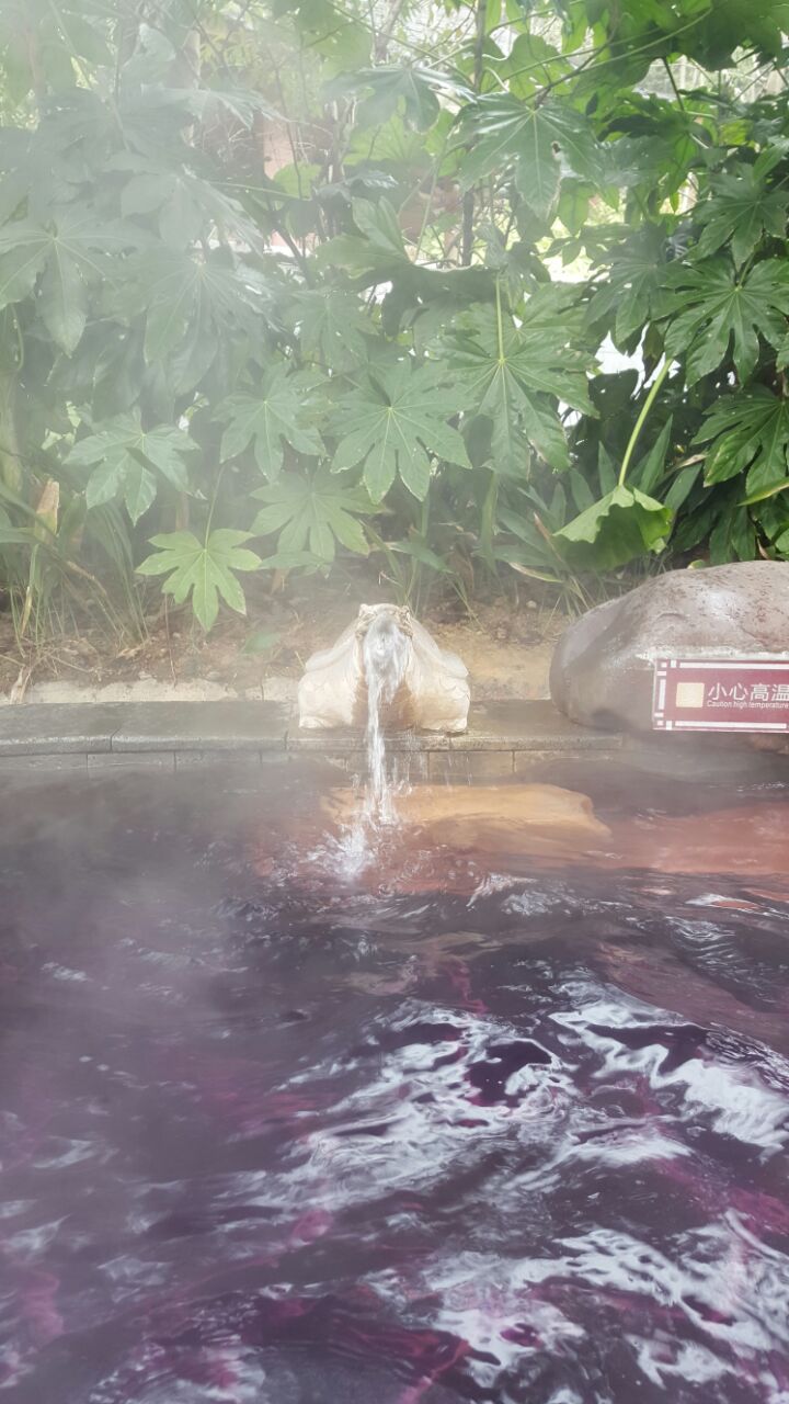 灰汤温泉华天城旅游度假区