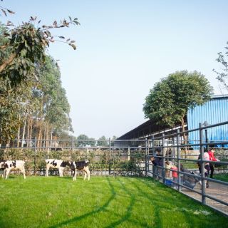 菊乐牧场 农场 民风民俗 距景点3.7km