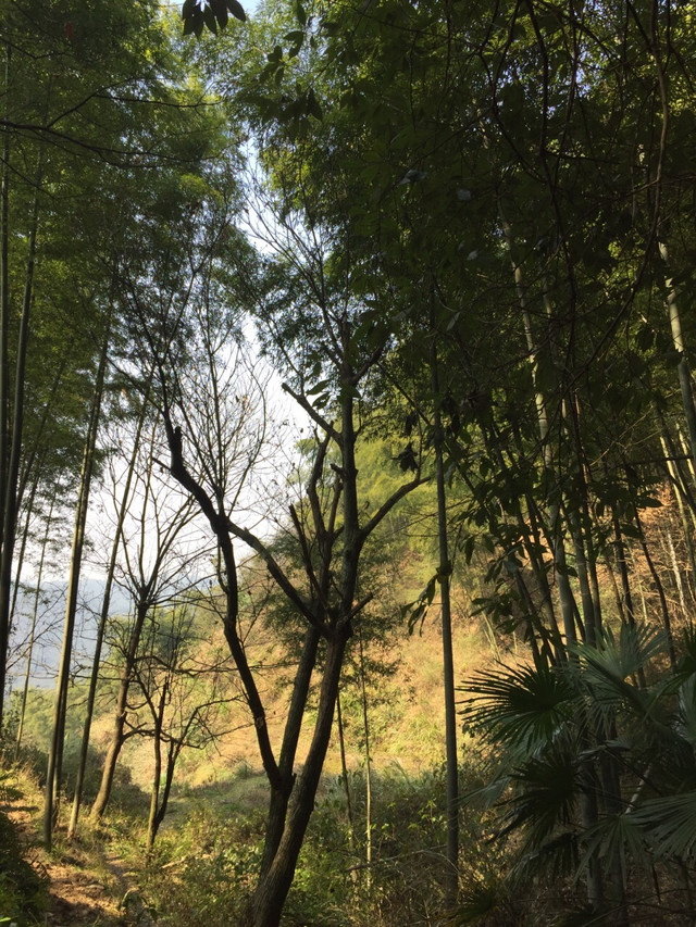 山村生活