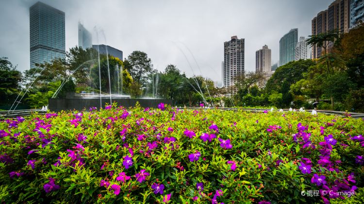 香港香港动植物公园攻略 香港动植物公园门票价格多少钱 团购票价预定优惠 景点地址图片 携程攻略