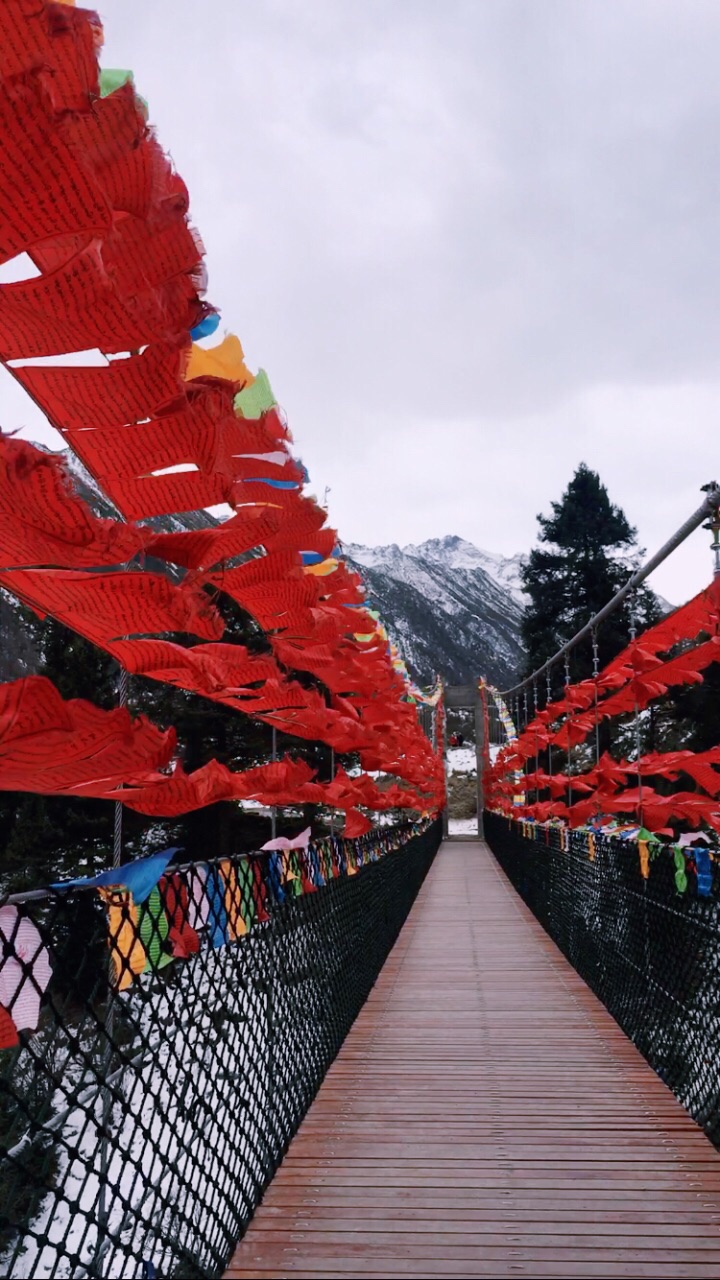 2019鷓鴣山自然公園滑雪場_旅遊攻略_門票_地址_遊記點評,理縣旅遊