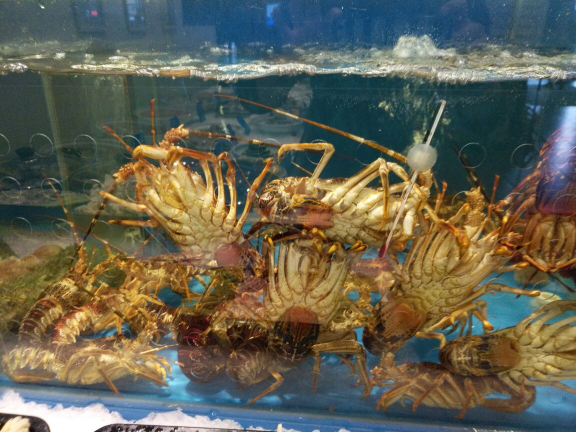 名岛海鲜(鸿翔店)