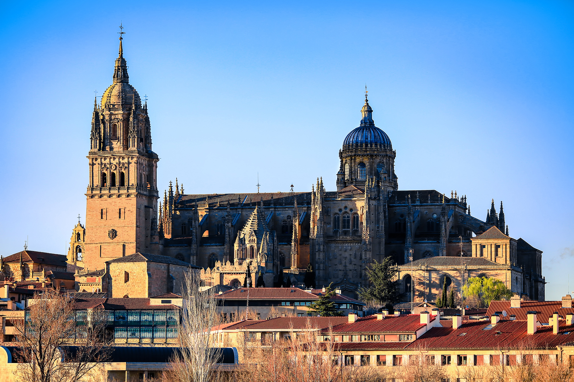 萨拉曼卡tren turistico salamanca攻略,萨拉曼卡tren turistico sala