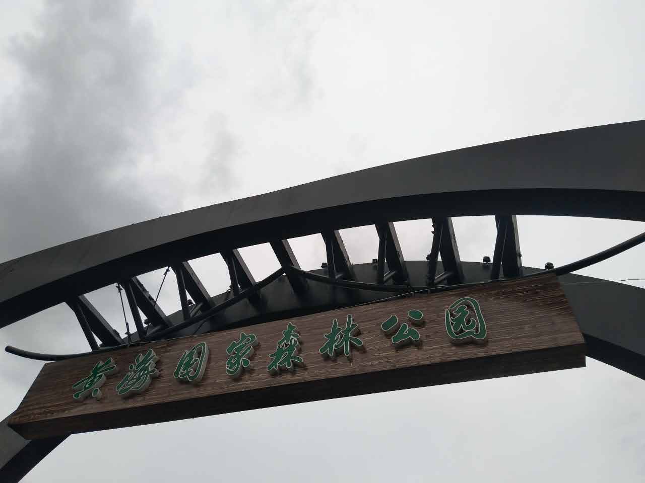 东台黄海森林公园logo图片