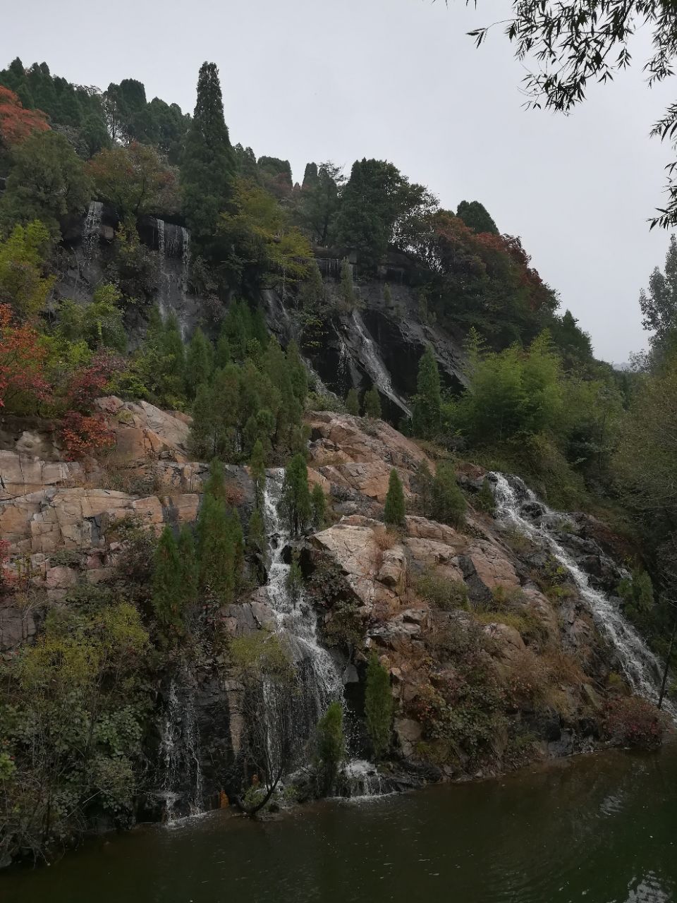 2019紅葉谷_旅遊攻略_門票_地址_遊記點評,濟南旅遊景點推薦 - 去哪兒