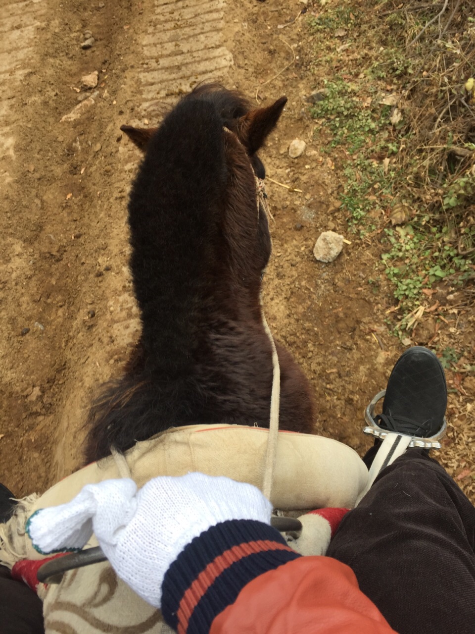 茶马古道 骑了马 有点意思 就是一路马粪 很臭 还有一个一路相伴的人
