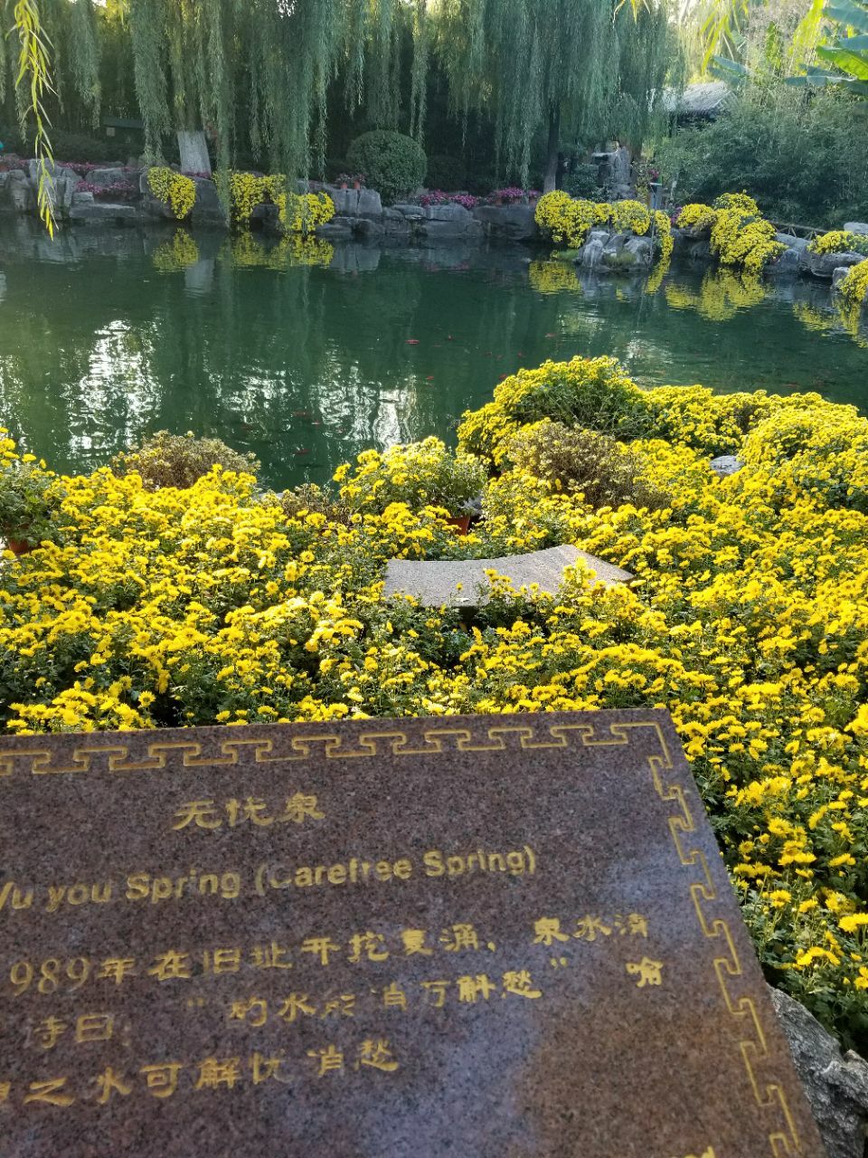 2019无忧泉游玩攻略,位于趵突泉公园南的无忧泉,. 【去哪儿攻略】