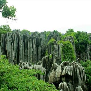 青观顶石林