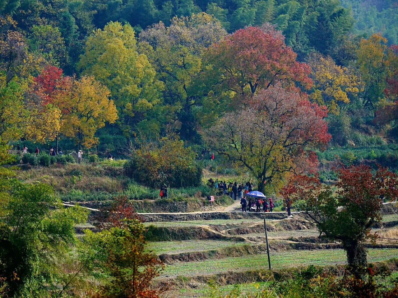 塔川在哪里图片