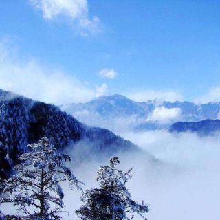 豹啸泉   分 2条点评 山 自然风光 距景点2.7km