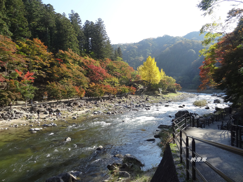 白川乡,香岚溪—日本中部地区乡村赏秋