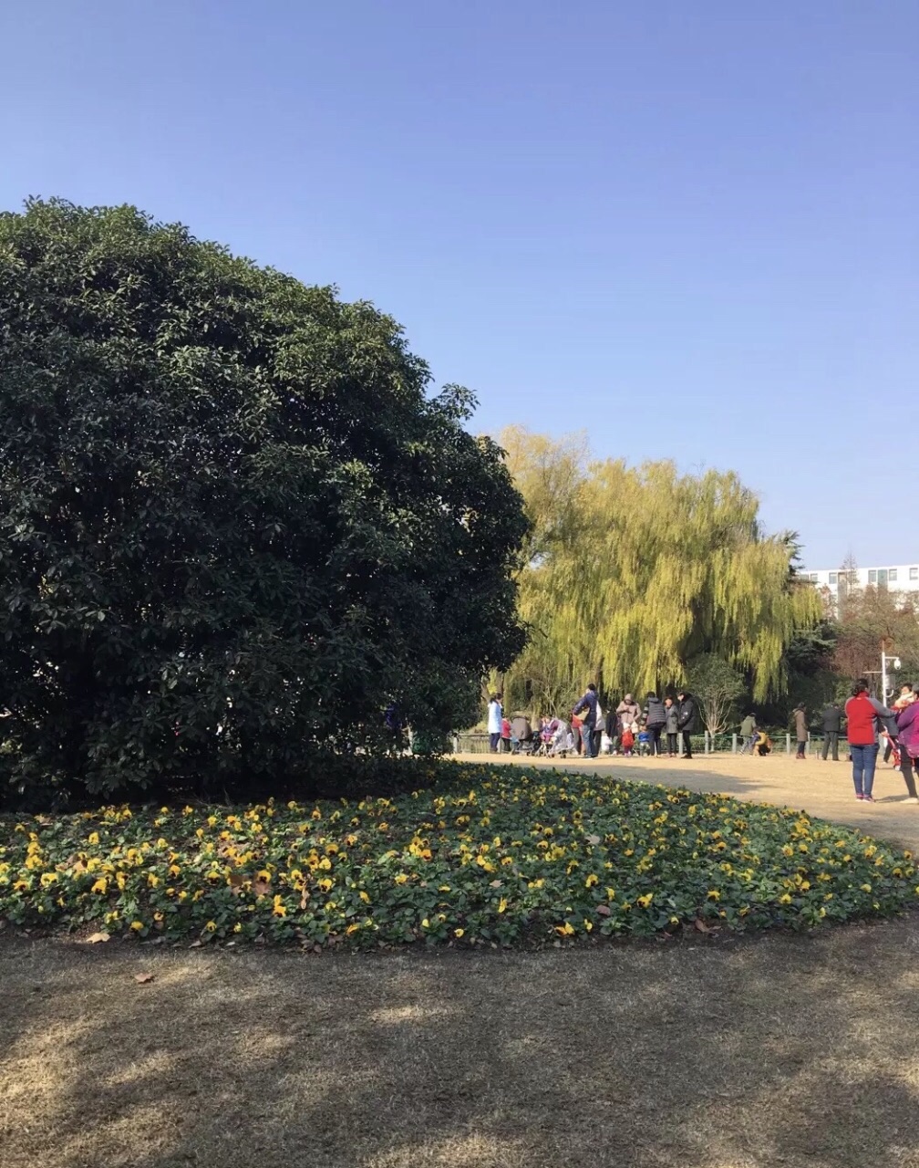 2019泗塘公园
