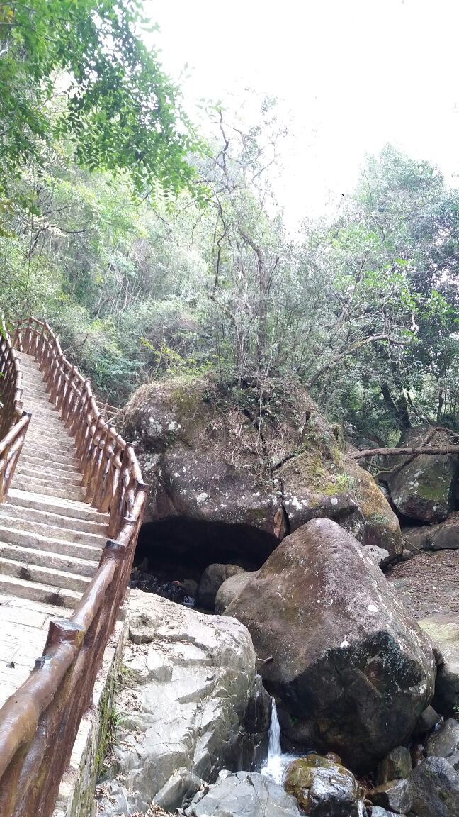 從化區五指山好玩嗎,從化區五指山景點怎麼樣_點評_評價【攜程攻略】