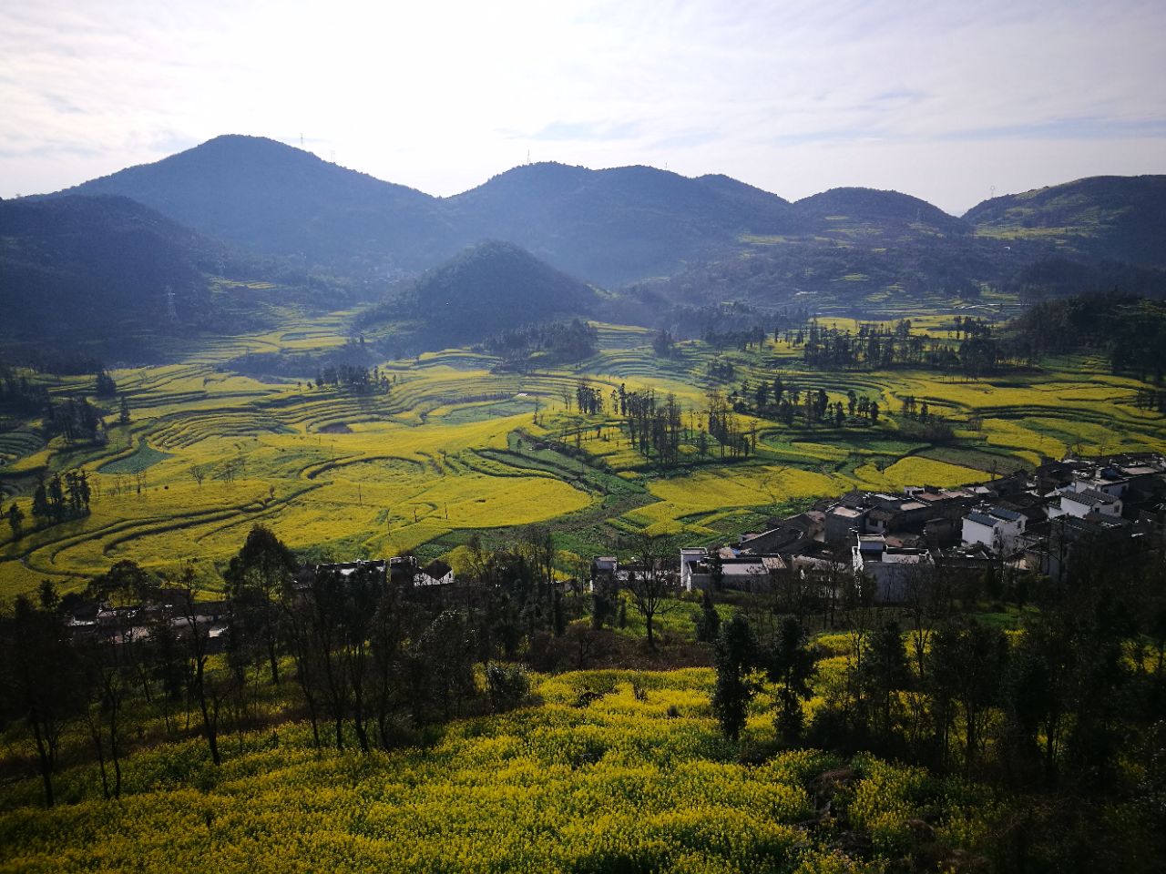 羅平油菜花景區旅遊景點攻略圖