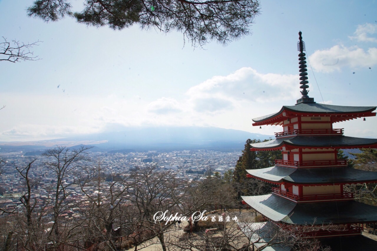 下吉田的新仓富士浅间神社,之前未听过过这个地方,却发现认识的日本