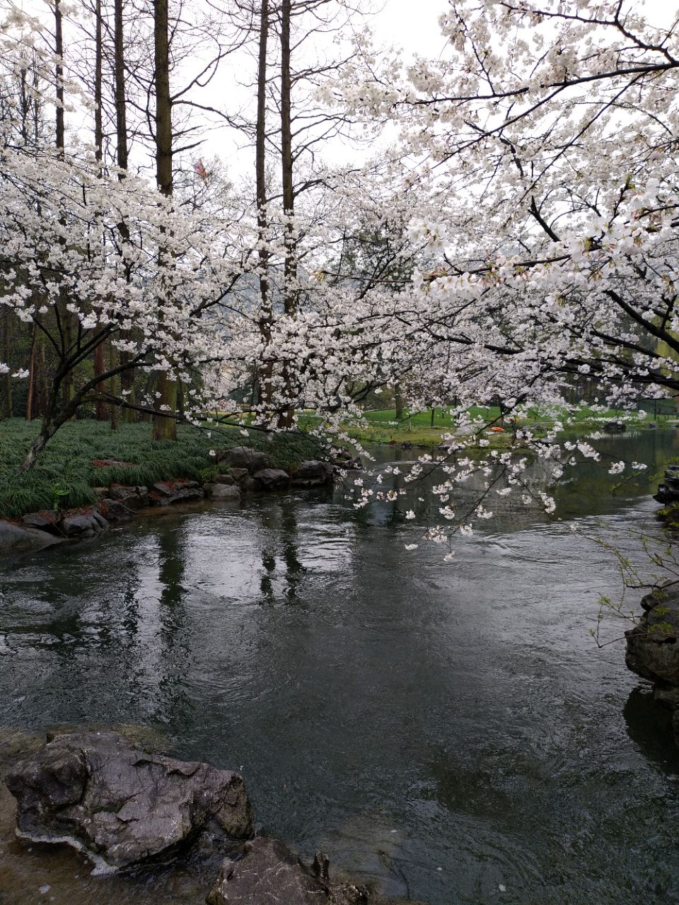 桃源原生植物公园