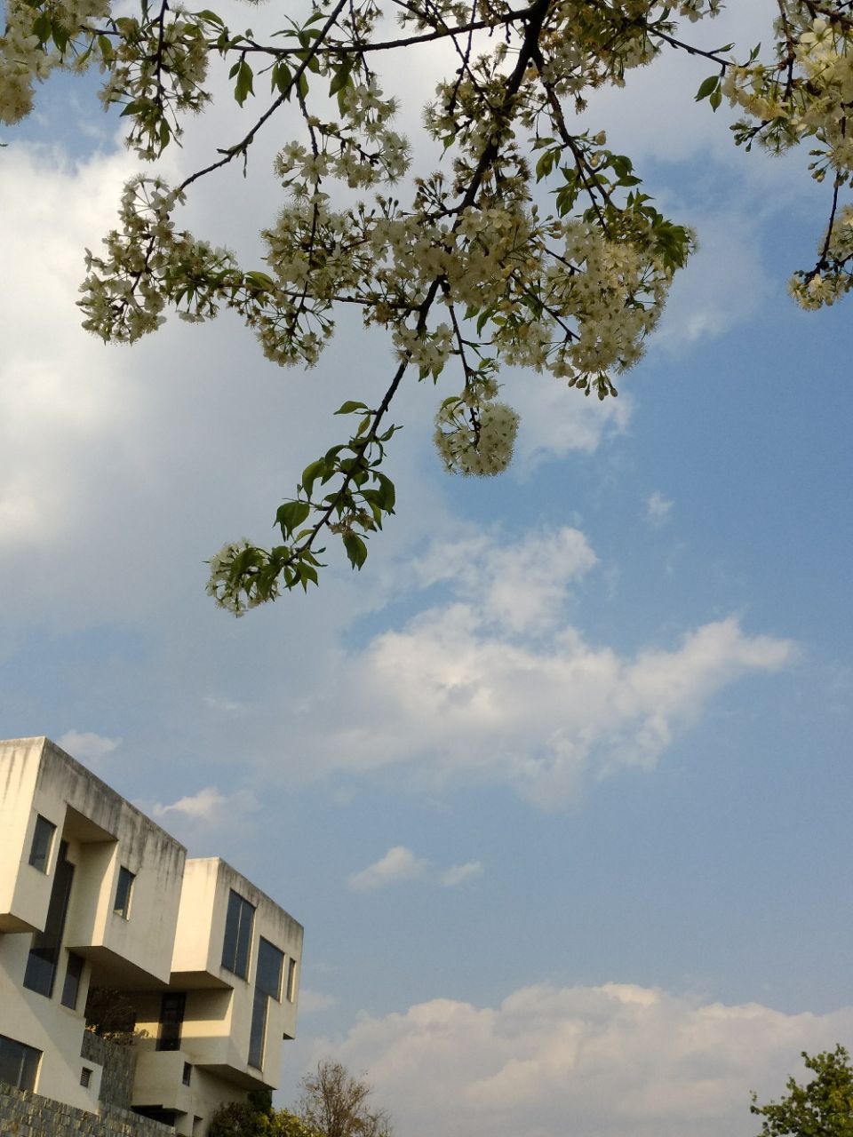 2019文山市民农园游玩攻略,文山市民公园不大的,景色还.