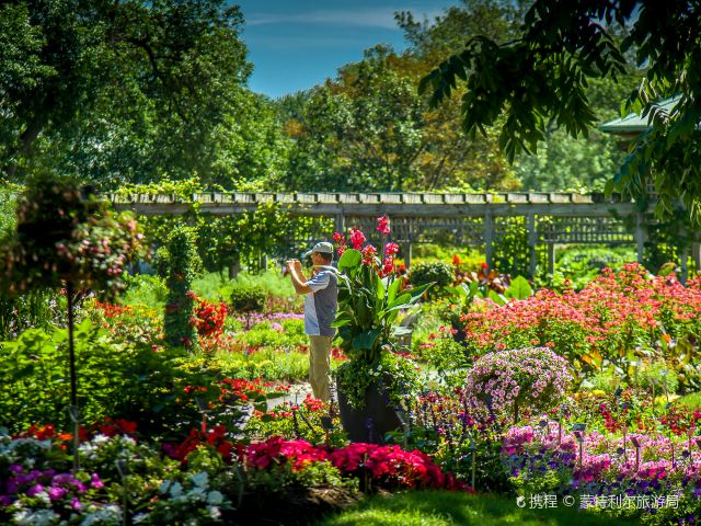 蒙特利尔植物园