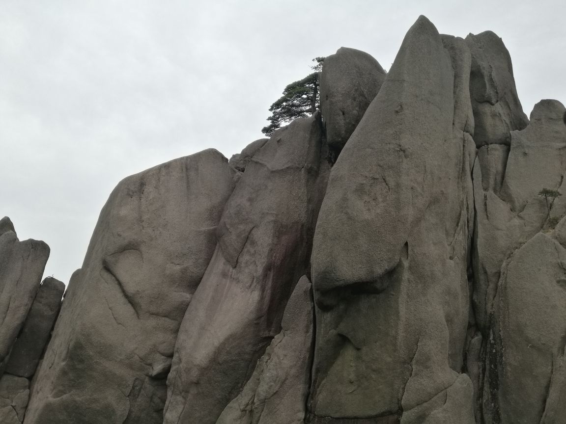 黄山奇石龟鱼对望图片