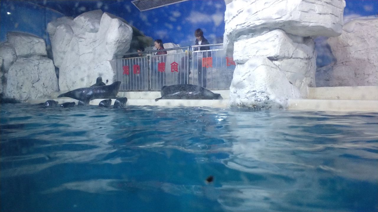 抚顺海洋馆旅游攻略