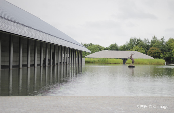 Pérez Art Museum Miami
