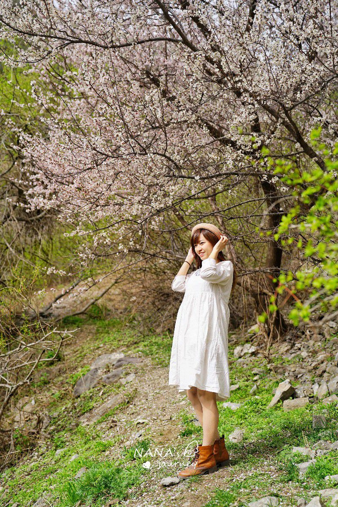 『花样人生,多彩新疆』重谱一篇春日的故事