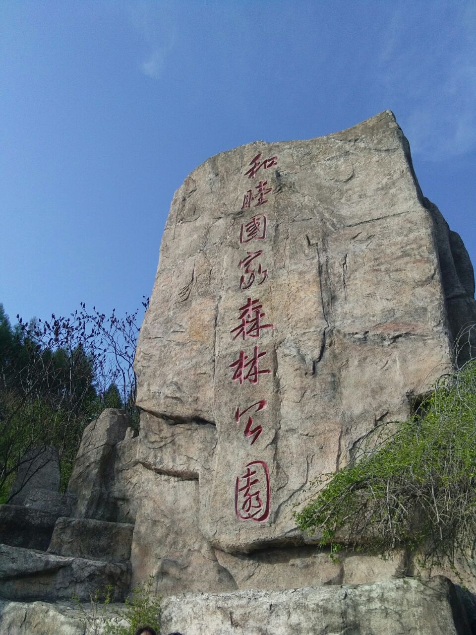 和睦森林公園