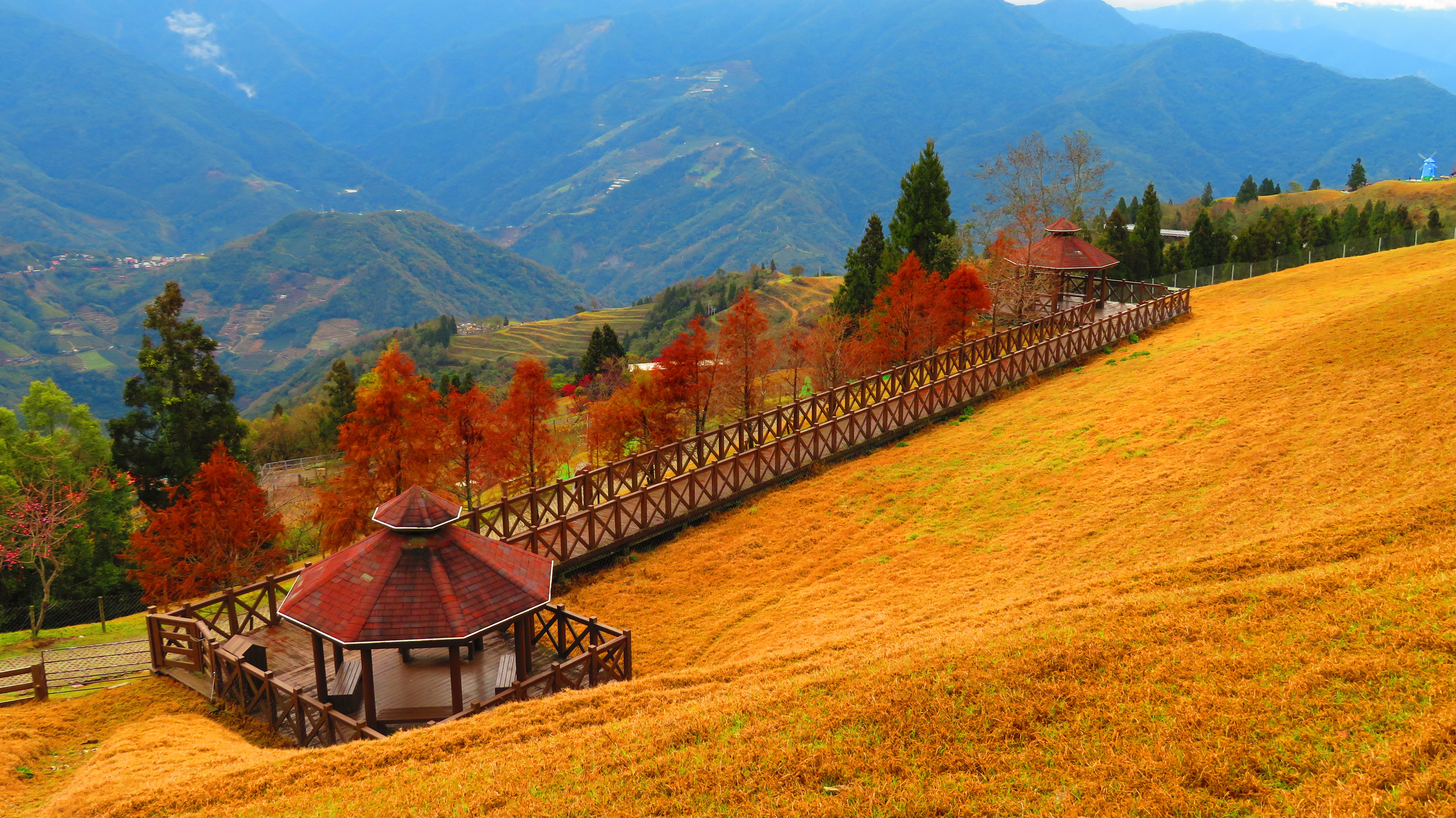 【携程攻略】南投青青草原适合家庭亲子旅游吗,青青草原家庭亲子景点