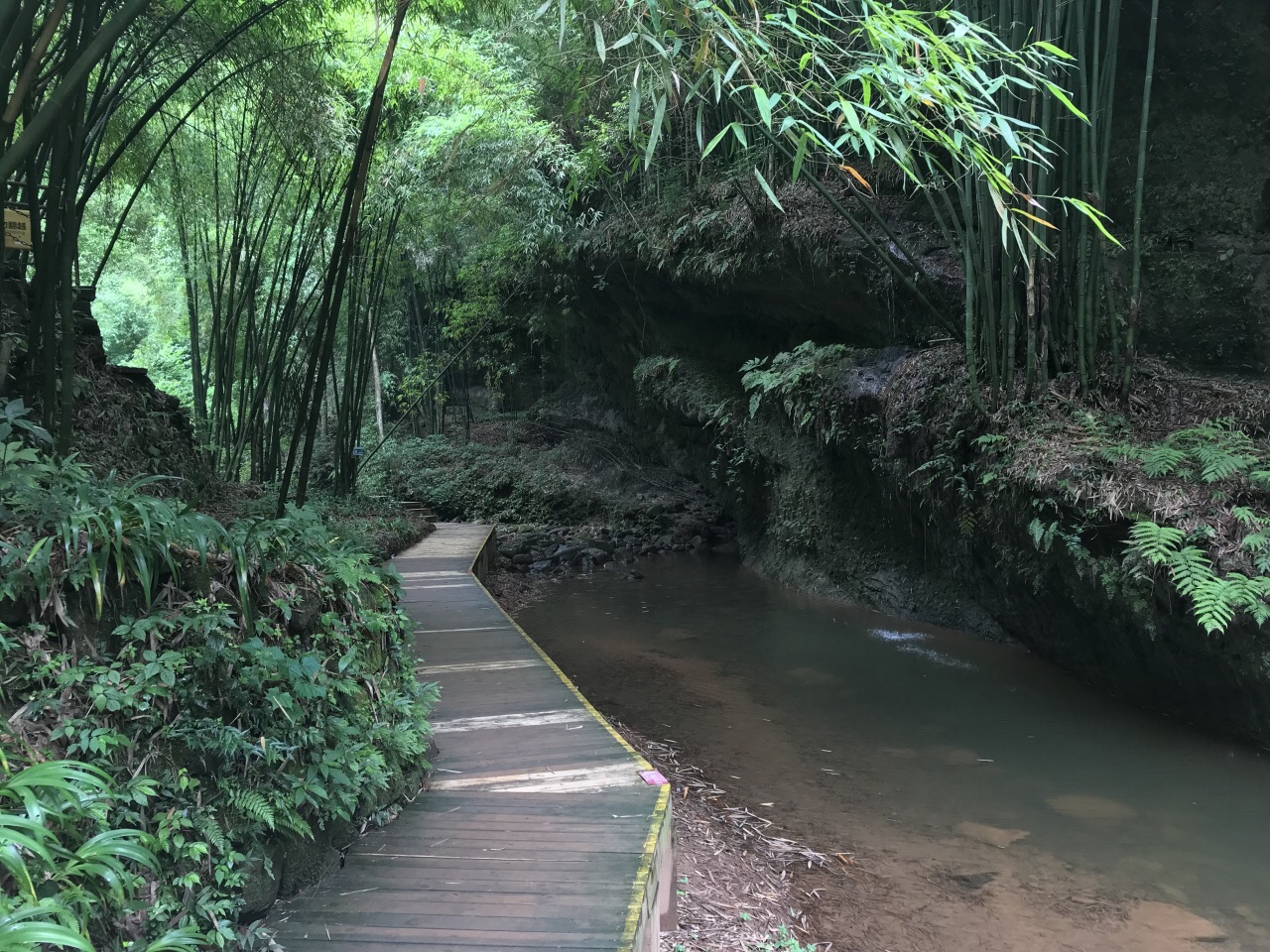 川西竹海景區