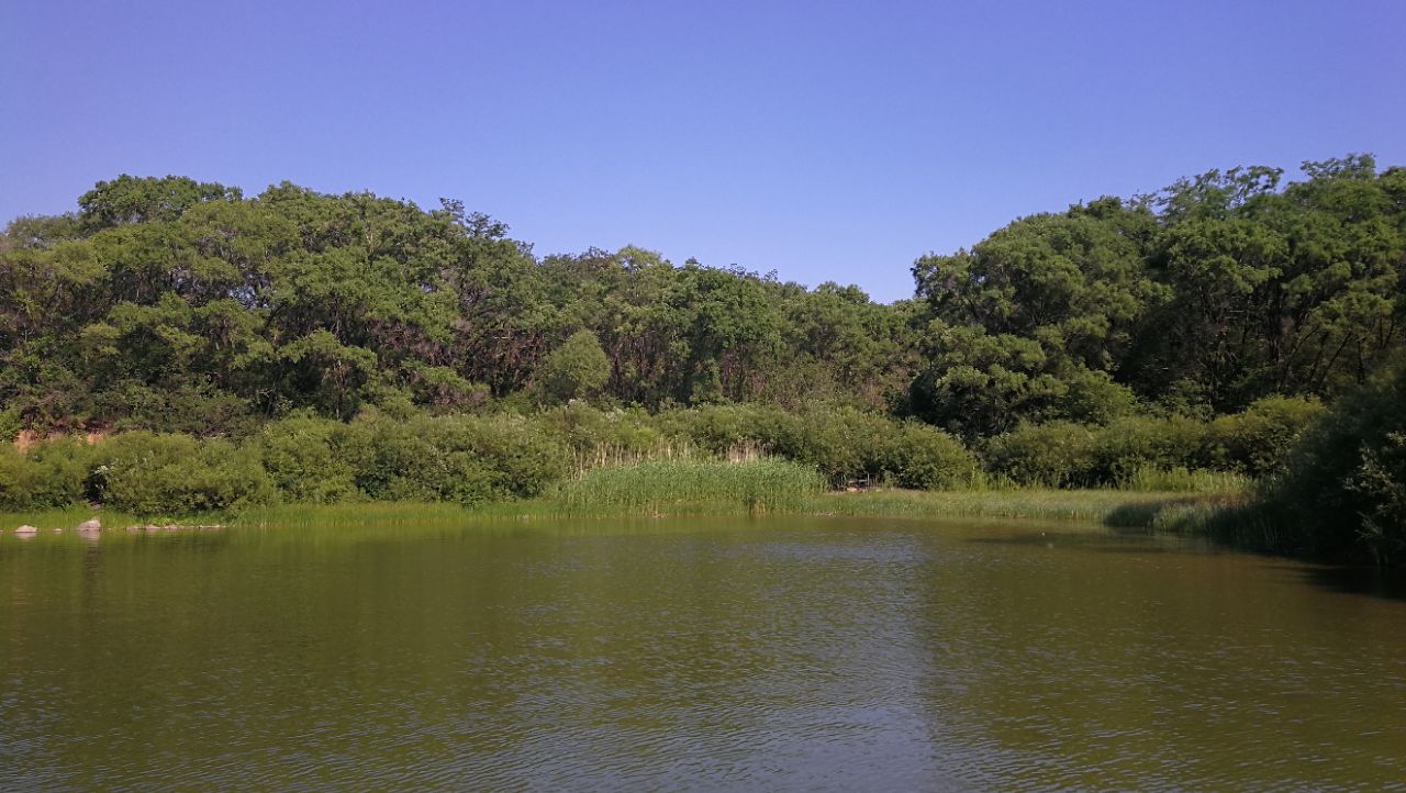 沈阳秀湖好玩吗,沈阳秀湖景点怎么样_点评_评价【携程攻略】