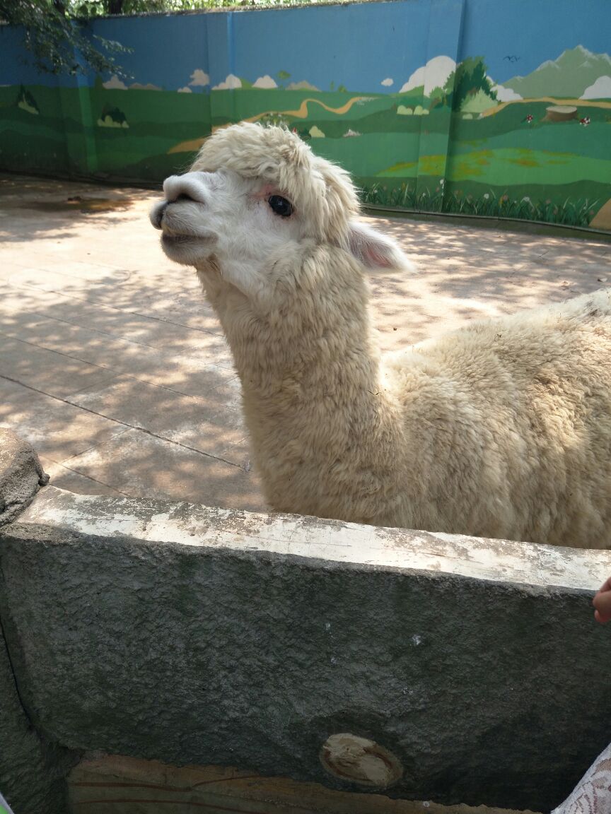 成都動物園