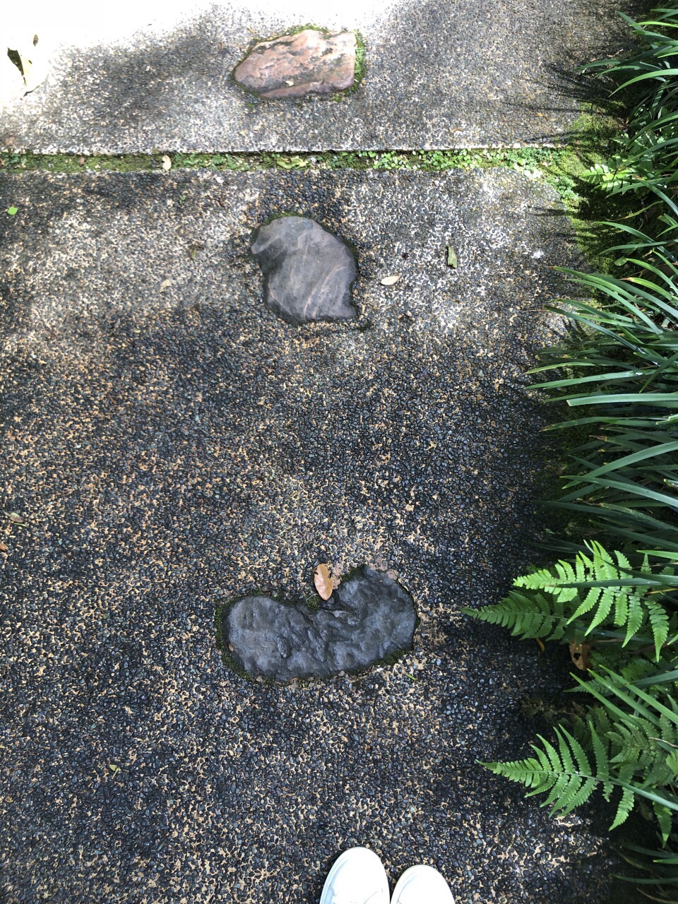 2024日本村游玩攻略,日本村和法国村是相邻的景点...【去哪儿攻略】