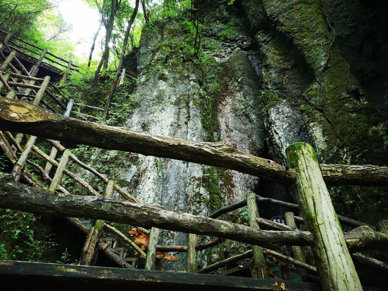 曾家山景区旅游景点攻略图