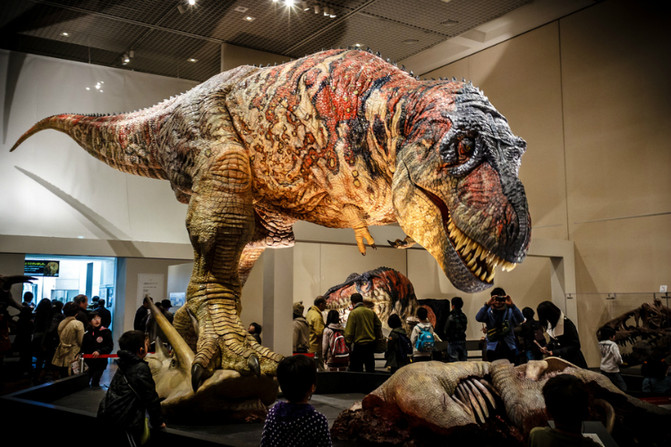 100l0u000000j68l4716B_R_671_10000_Q90.jpg?proc=autoorient