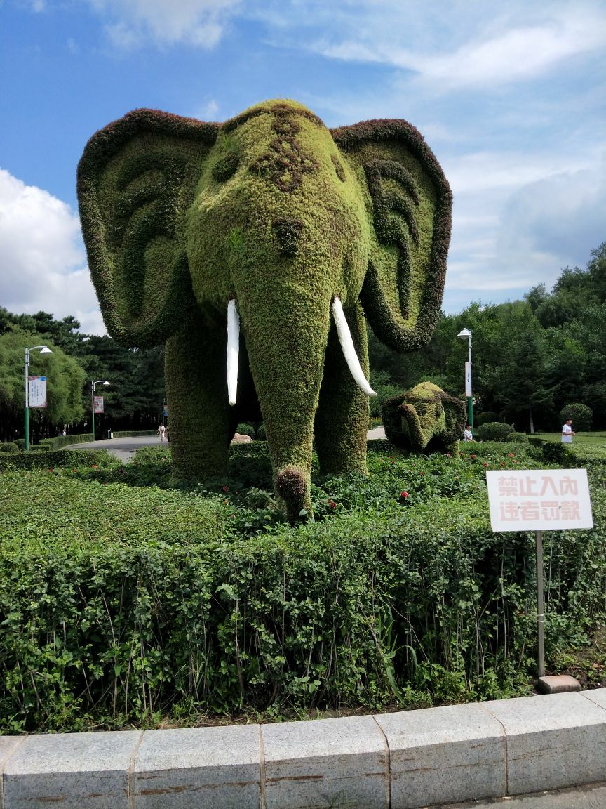 动植物公园_荔湾湖公园植物配置存在问题分析_植物被吃时动图