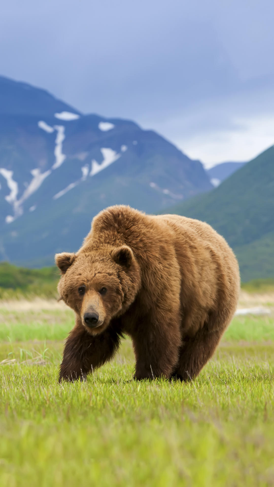 济南野生动物世界