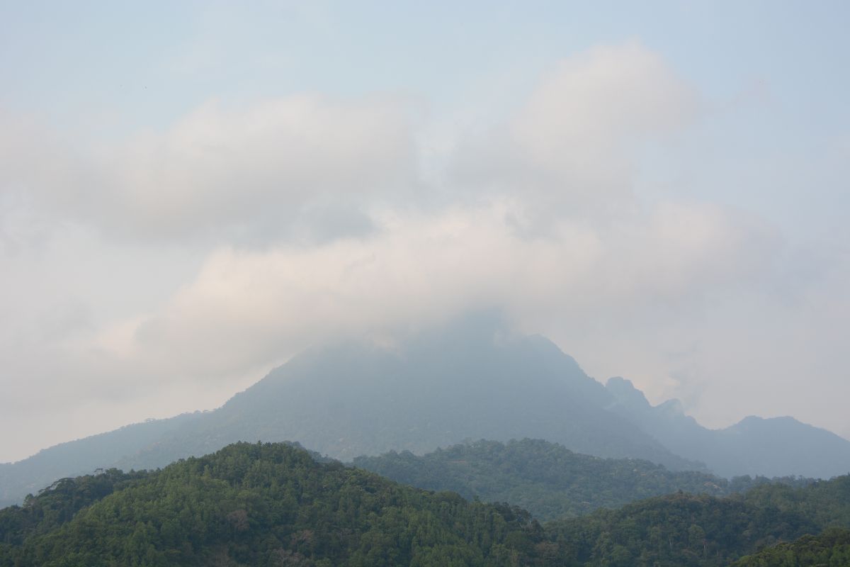 走进海南五指山风景区 畅享热带雨林“森”呼吸-宁夏新闻网