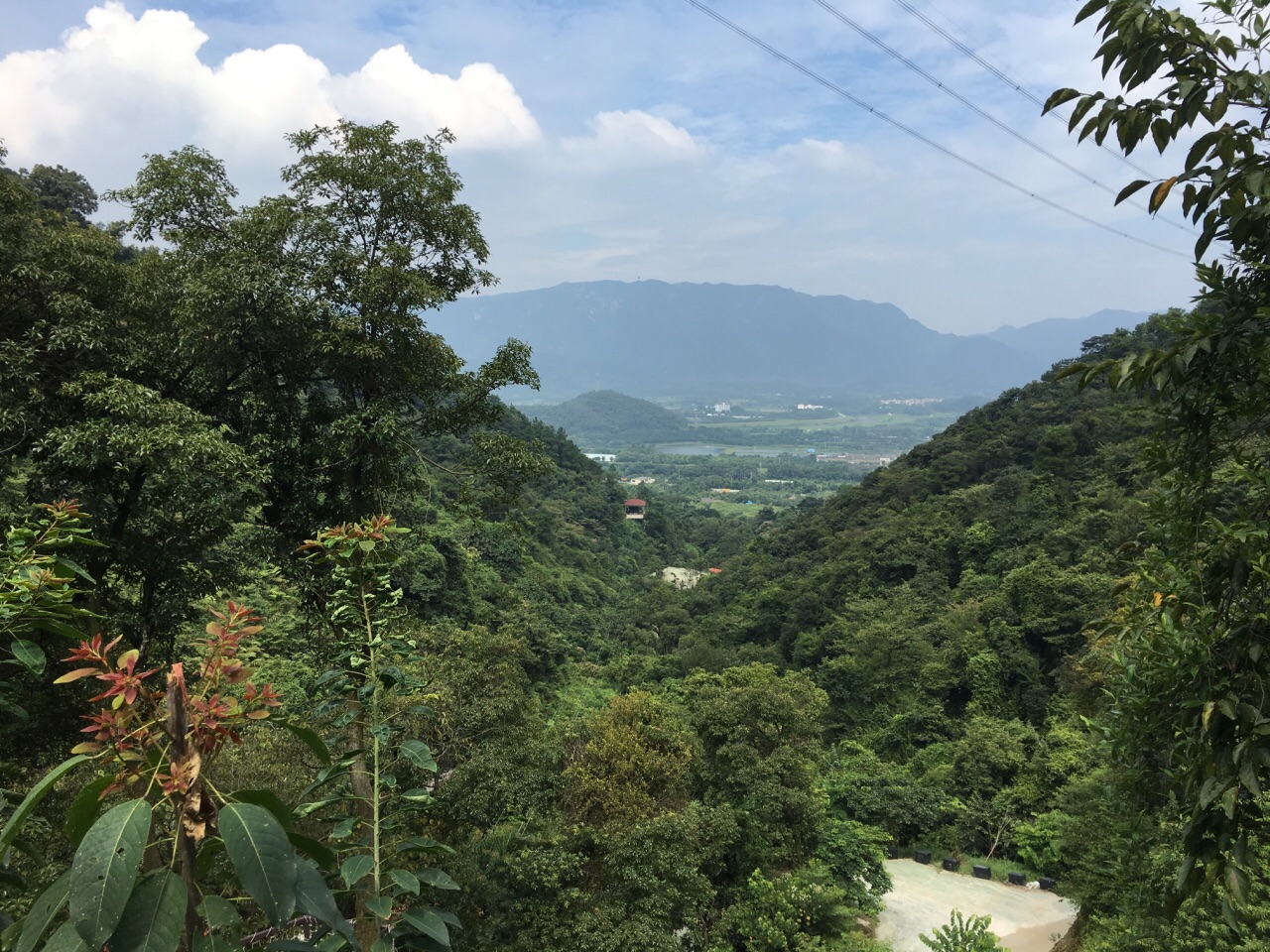 南丹山森林王国