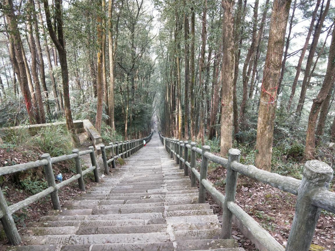 真佛山景区