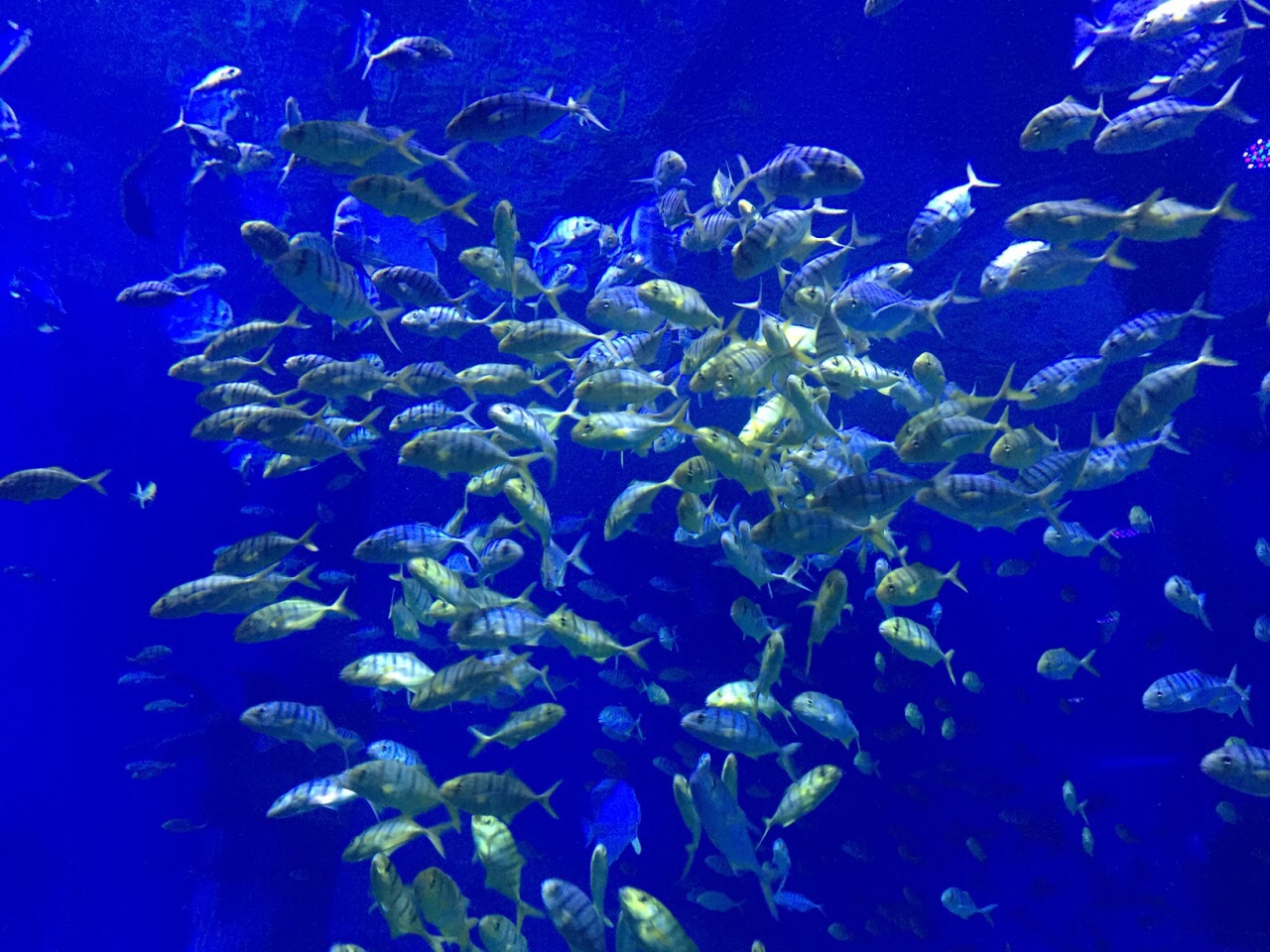 寿光极地海洋世界