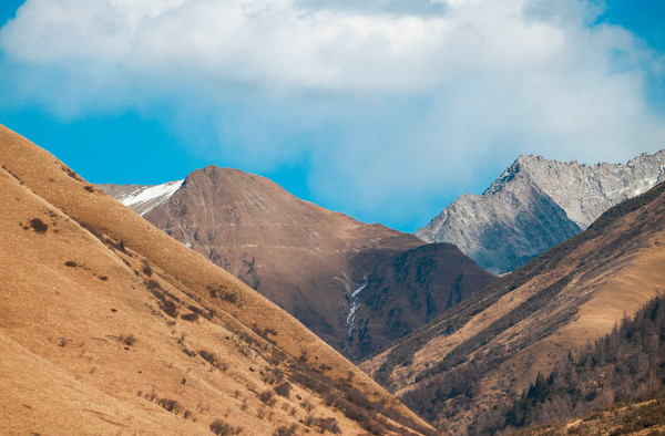 鷓鴣山