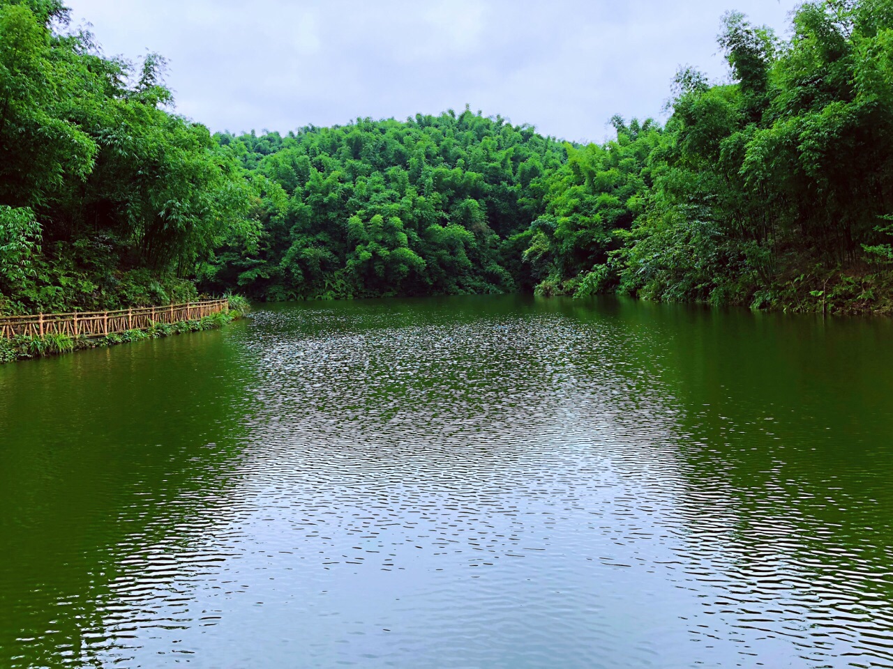 赤水竹海国家森林公园 - 中国国家地理最美观景拍摄点