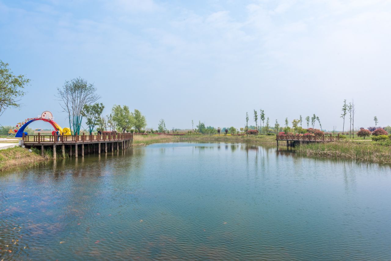 洪泽湖湿地免费图片