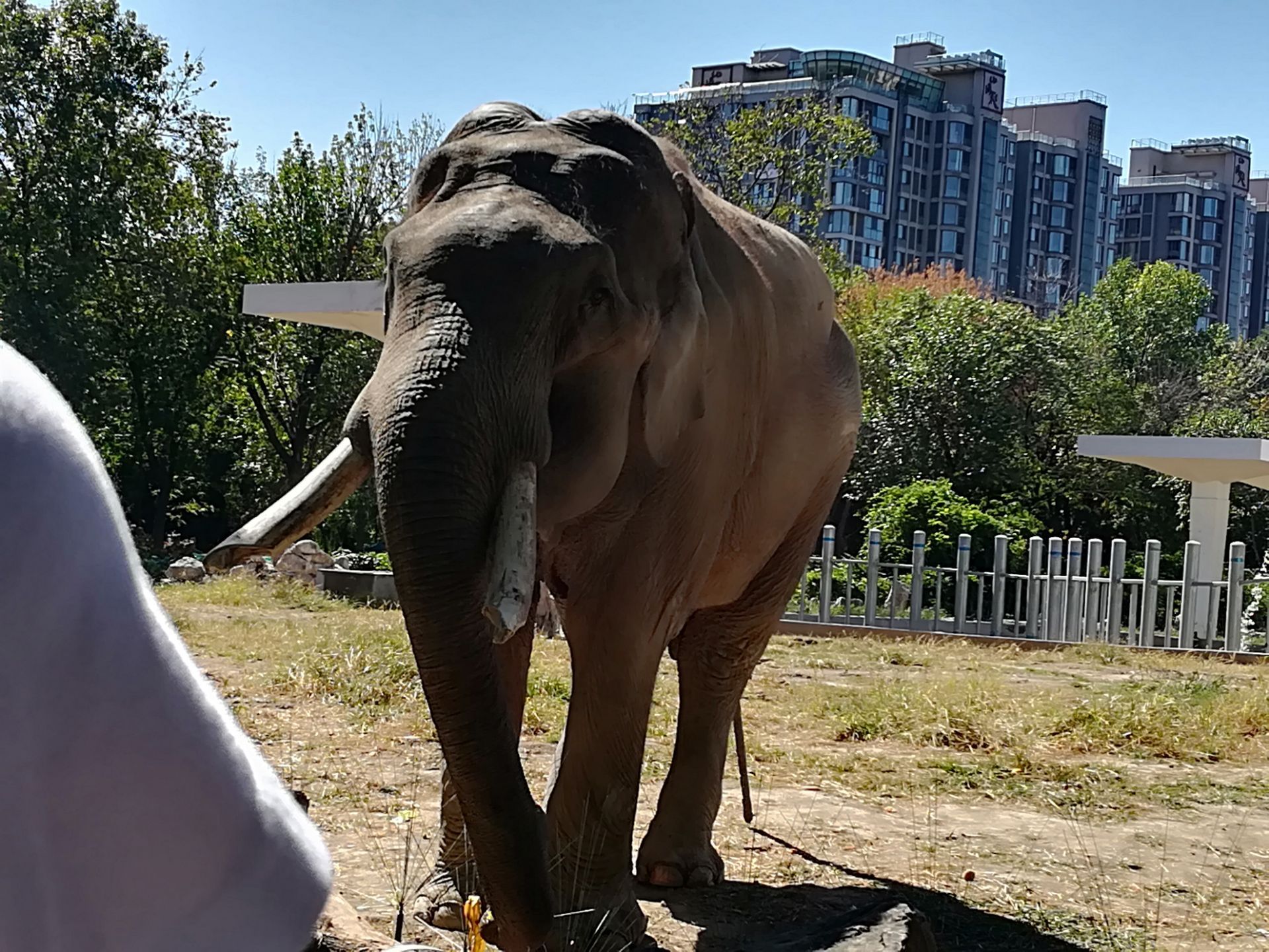 天津動物園