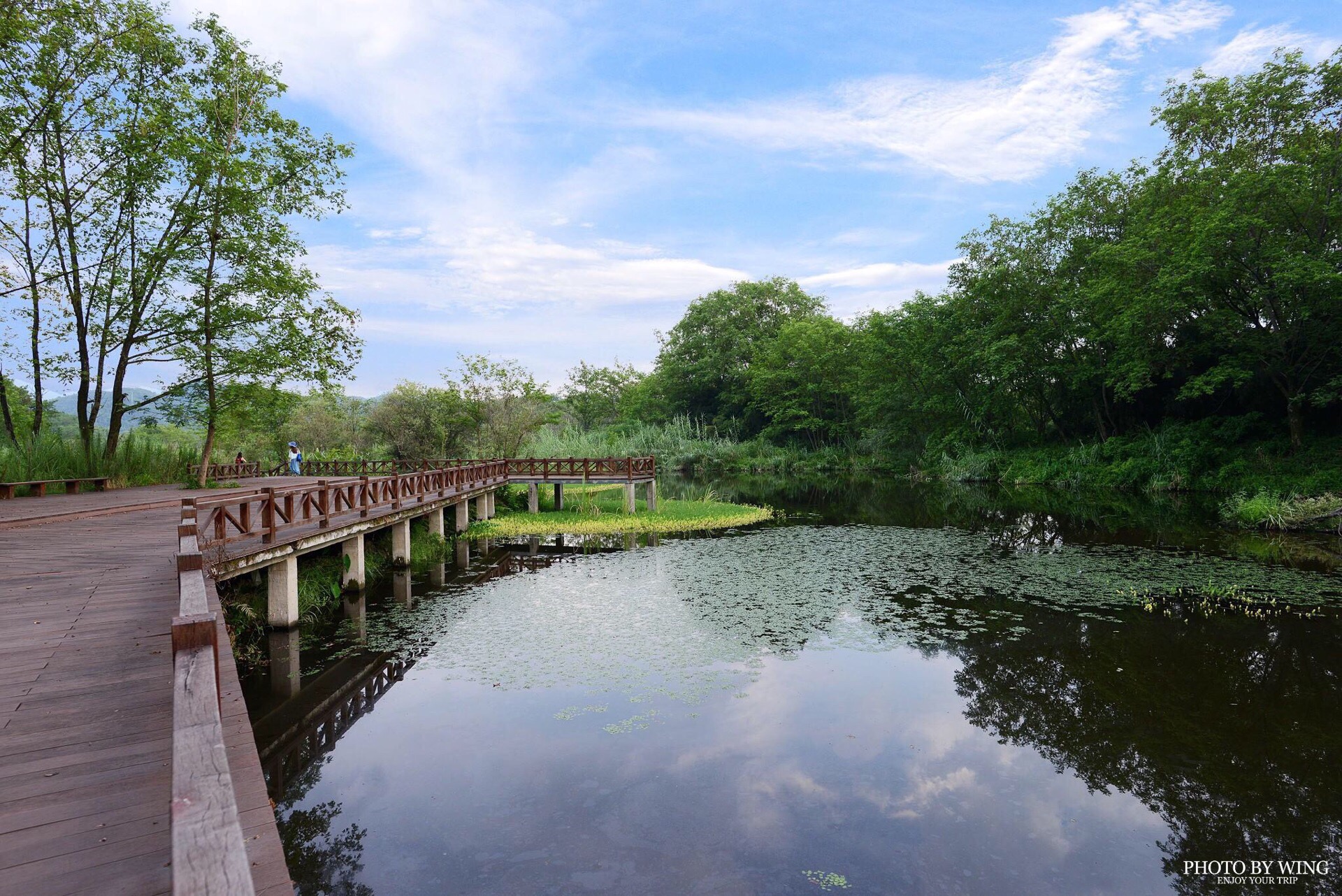 九龙湖湿地公园图片