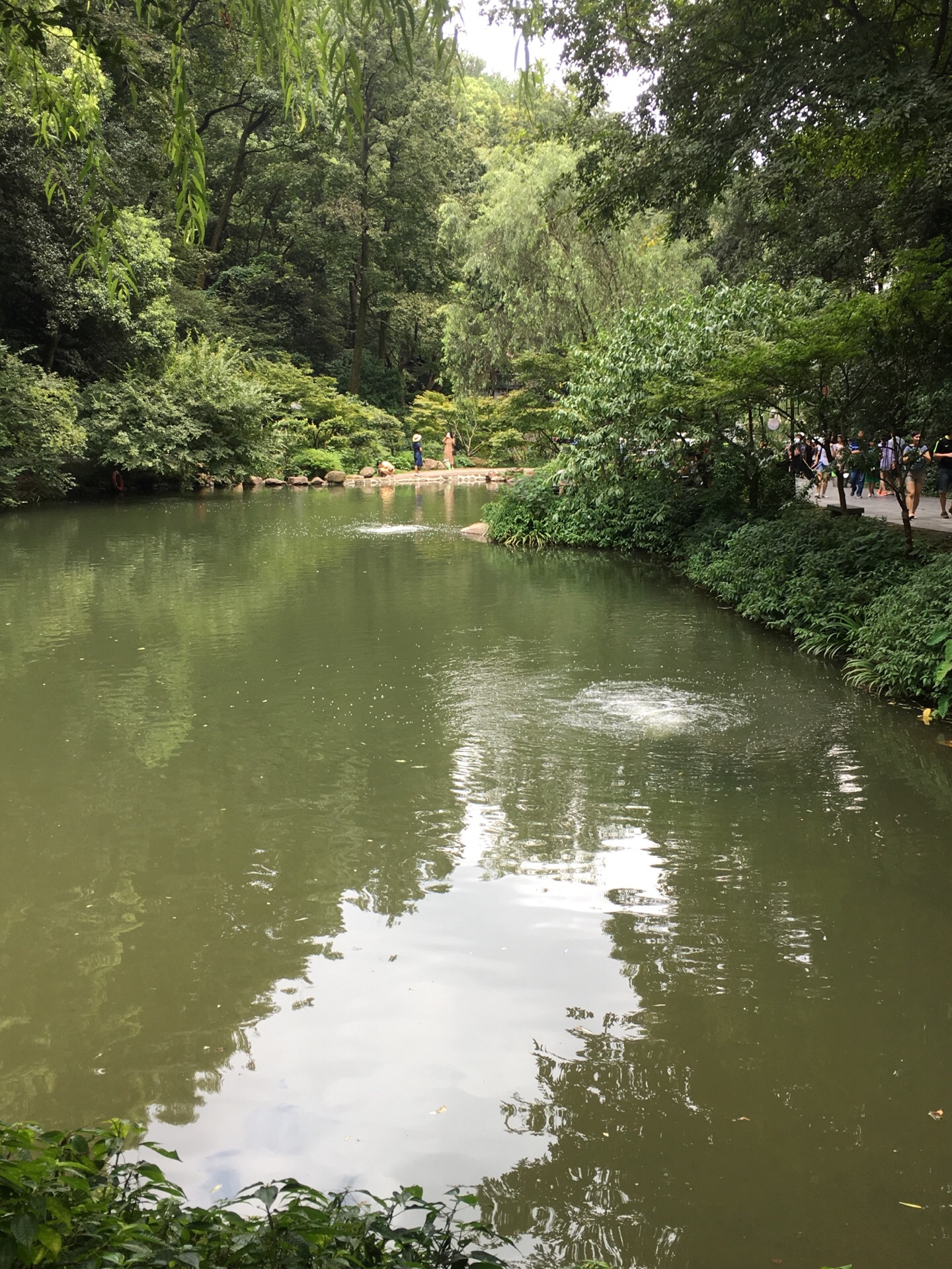 长沙岳麓山风景区门票(长沙岳麓山景区门票多少钱)