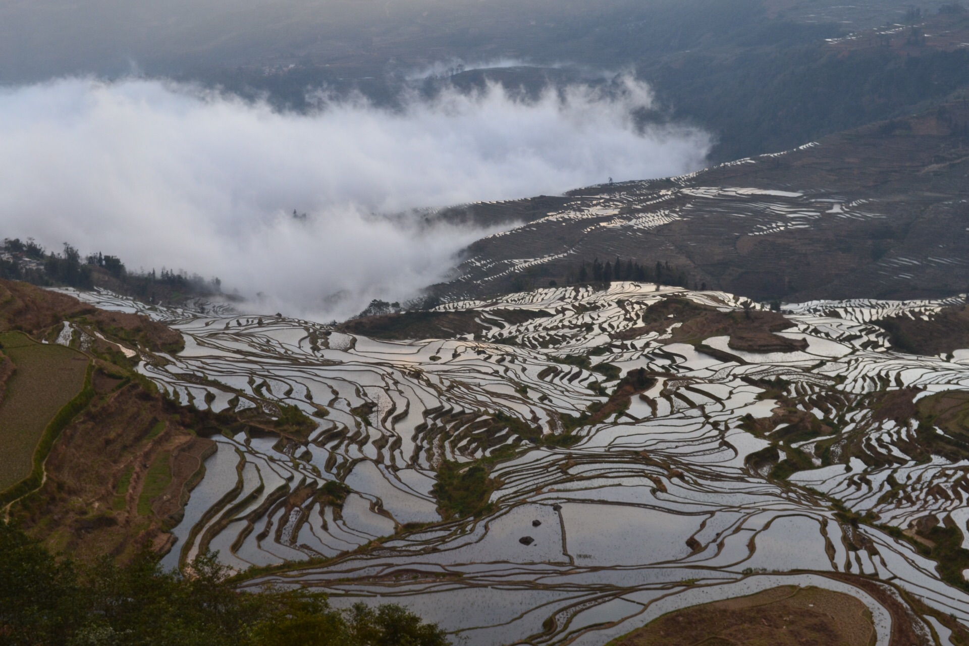 元阳哈尼梯田旅游景点攻略图